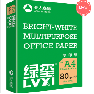 复印纸 亚太森博 亚太森博 绿玺 A4 80g 10包 400张/包 白色