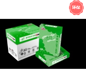 复印纸 金光/APP 金光 清风 A4 80g 10包 500张/包 白色